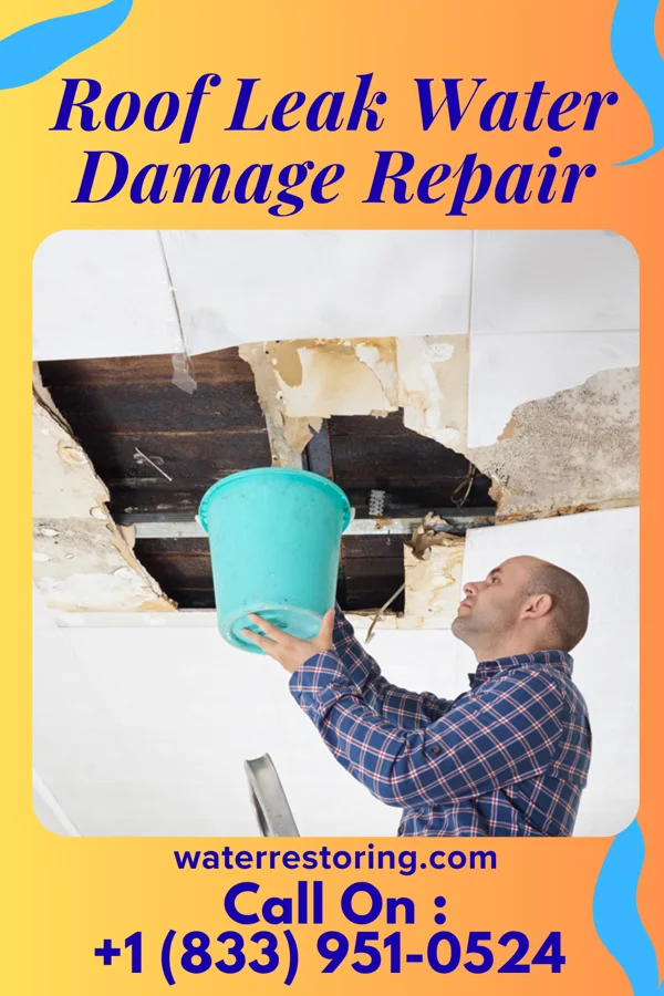 Roof Leak Water Damage Repair in Sauk Rapids, MN