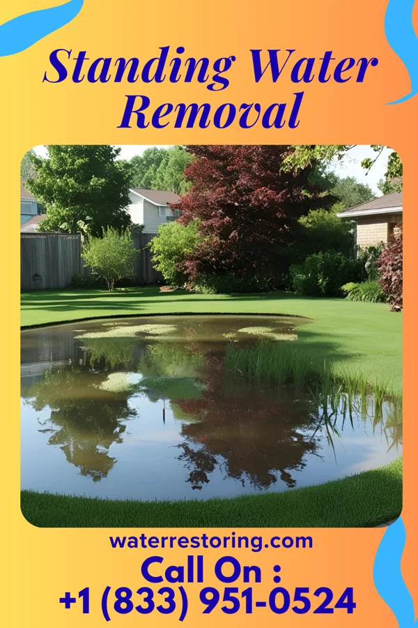 Standing Water Removal in Sauk Rapids, MN